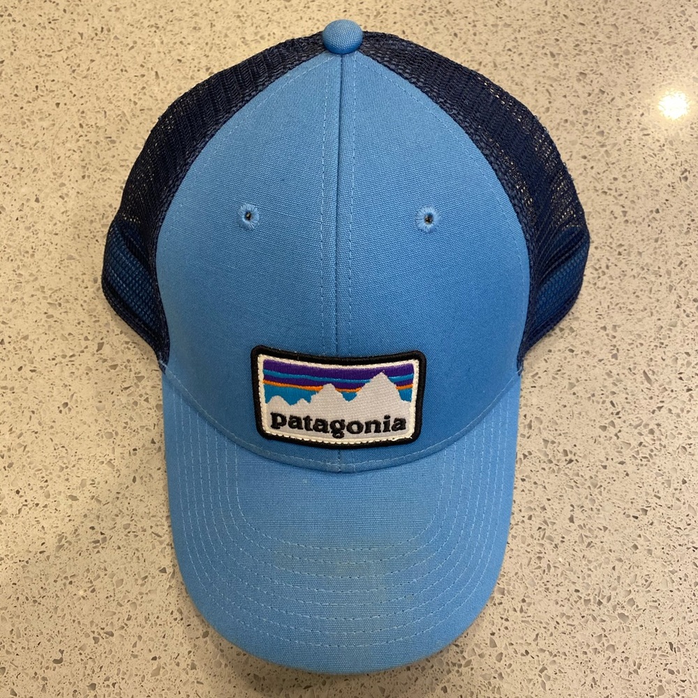 Patagonia Trucker hat
